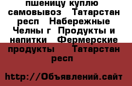 пшеницу куплю, самовывоз - Татарстан респ., Набережные Челны г. Продукты и напитки » Фермерские продукты   . Татарстан респ.